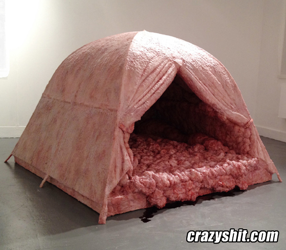 Comfy Pussy Tent